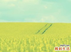 人气最高的qq个性网名，今年最火吸引人的qq昵称大全
