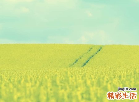 人气最高的qq个性网名，今年最火吸引人的qq昵称大全