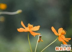 独一无二的好听扣扣名字，最牛网名全网数你最牛逼