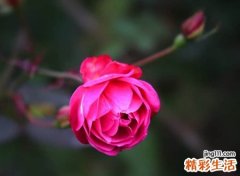 今年超级好听的qq长网名，罕见又好听的长昵称