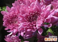 成熟有深度的qq网名，经典又含深意昵称大全