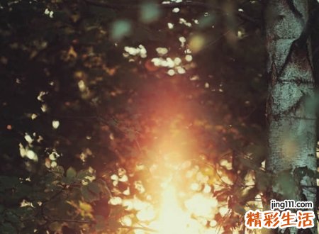 素洁优雅大方的微信名，好听寓意好人人都喜欢的网名