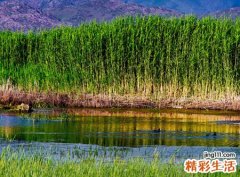 女人梦见蚂蝗咬自己流了一滩血