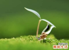 时髦前卫的欧美风潮英文网名，高端国际范英语昵称