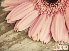 文艺治愈系简短网名，好听的昵称励志做最好的自己