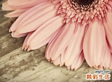 文艺治愈系简短网名，好听的昵称励志做最好的自己