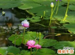 既高傲又冷漠的微信昵称，脾气大做事极端的非理性网名