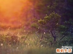 人生总是压抑悲伤的心情网名，快手昵称花期未至之故人未归