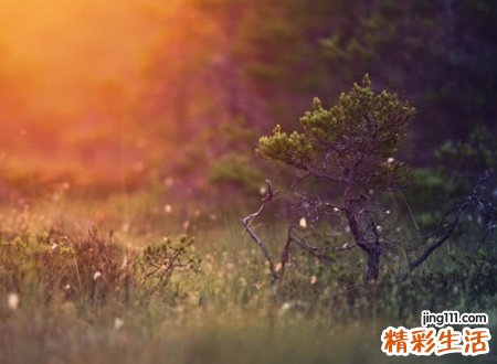 人生总是压抑悲伤的心情网名，快手昵称花期未至之故人未归