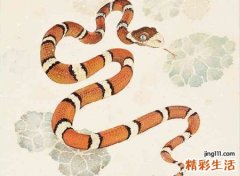 梦见杀蛇，做梦梦见杀蛇是什么意思