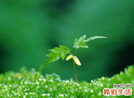 充满文艺范的简约网名,有情怀似水往昔的个性昵称