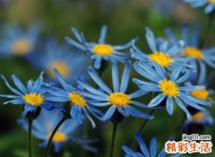 文艺森系简短好听的笔名，让人勾起回忆的文艺范微信网名