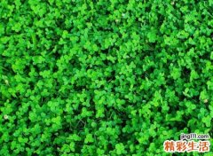 超丧的网名，超级颓废的非主流伤感名字