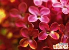 快手特别撩人好听的网名，快手昵称容易涨粉独一无二