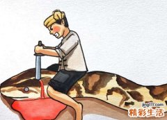 梦见超级巨蛇巨蟒攻击自己