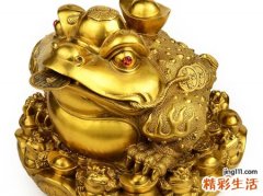 女人梦见活的金蟾和自己互动