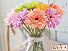 女人梦见很漂亮的假花就像真的一样