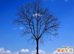 关于等待的网名，心里住着一个人的微信昵称
