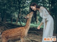 火山小视频治愈系诗意网名，女生昵称高雅脱俗最吸引人