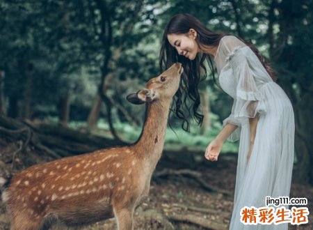 火山小视频治愈系诗意网名，女生昵称高雅脱俗最吸引人
