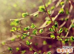 唯美有诗意的4个字网红昵称，最吸引人的人气网名