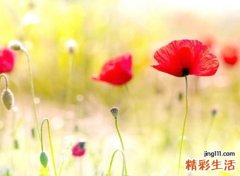 向前走网名，正能量好听的励志昵称