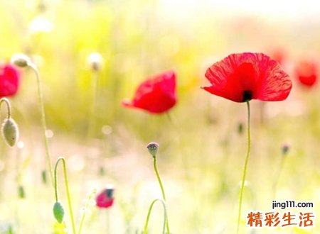 向前走网名，正能量好听的励志昵称