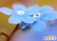 好听的四字网名，古风韵味的4个字干净昵称