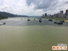 梦见家里发水灾淹没了卧室和厨房