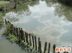 梦见清澈见底的河水想喝一口