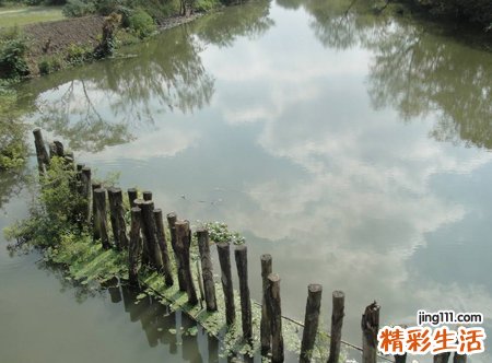梦见清澈见底的河水想喝一口