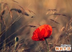 比较伤的快手网名，快手最好听的伤感名字