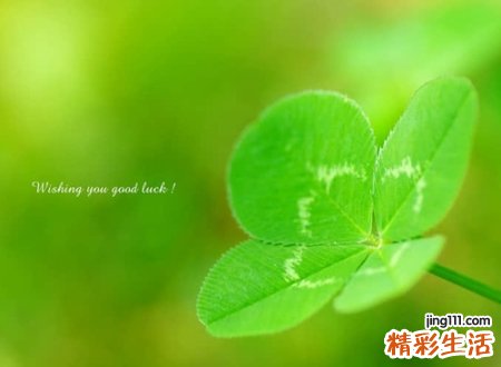 好听的5字古风网名，不烂大街的五个字古风id