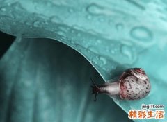 金牌人气选手吃鸡昵称，好听的吃鸡逗比网名