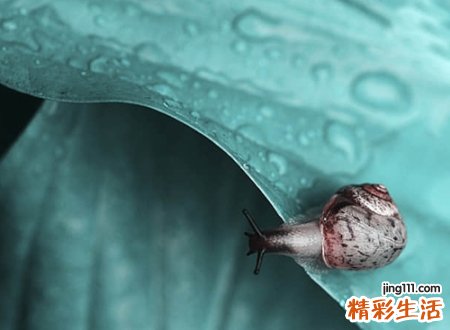 金牌人气选手吃鸡昵称,好听的吃鸡逗比网名
