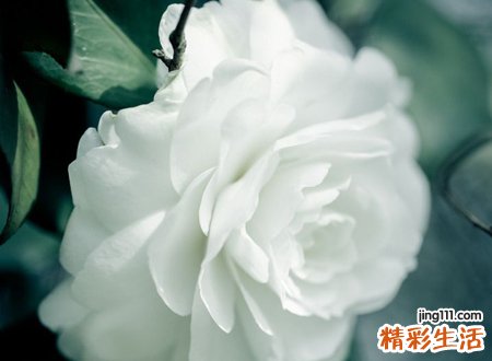 梦见死去的父亲，做梦梦见死去的父亲给我钱是什么意思