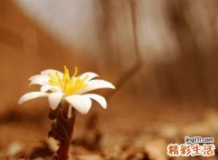 正能量的网名，正能量有内涵的励志昵称