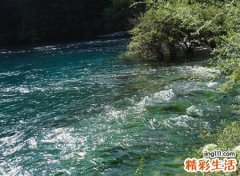 梦见好大的水在流动，做梦梦到水是什么意思