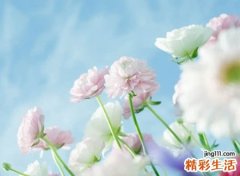 阳光网名，关于阳光清新暖暖的微信名字