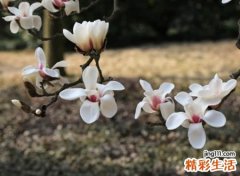 好听的三个字网名，唯美古风的微信诗意名字