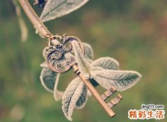 对感情专一的4个字网名，好听又浪漫的爱情昵称