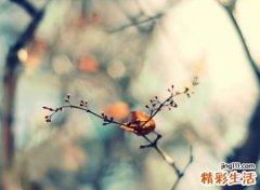 五个字的微信名字，最霸气牛叉的5字微信网名