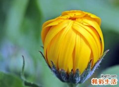 很霸气的骚网名，冷酷超拽挺牛掰的微信昵称