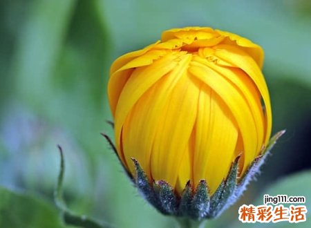 很霸气的骚网名，冷酷超拽挺牛掰的微信昵称