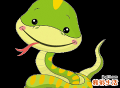 梦见大蛇吃小蛇一会就吃了好几条