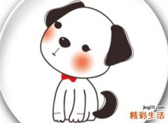 梦见白狗有灵性很乖但咬陌生人