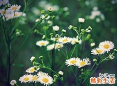 干净清爽的微信网名，简单文艺的微信个性名字