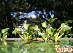 最新伤感网名，让人撕心裂肺伤感微信昵称