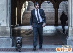 梦到被追杀，做梦梦到被人追杀是什么意思