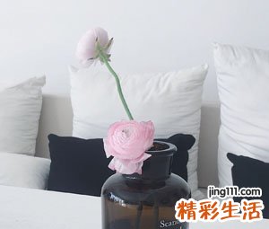 两个字的qq个性网名,简单气质的2字昵称